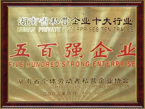 五百强企业